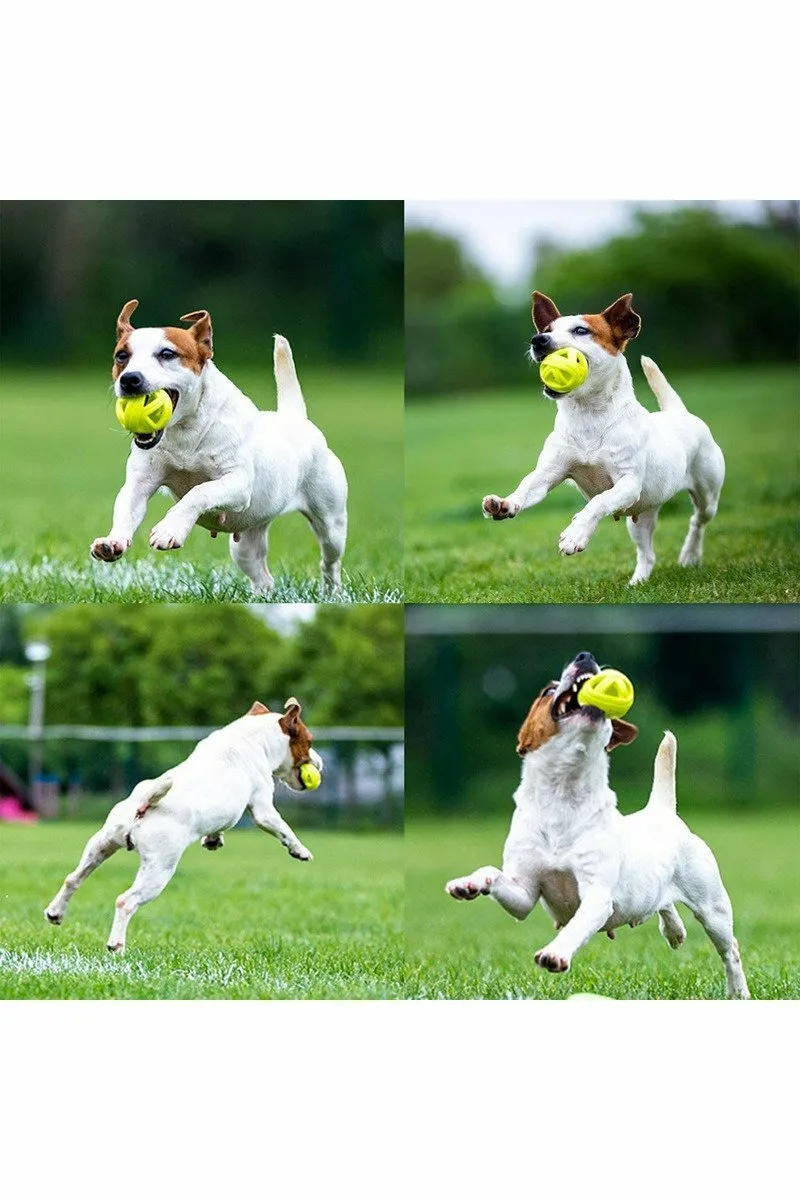 SKIPDAWG Dog  Ball Pack of 2