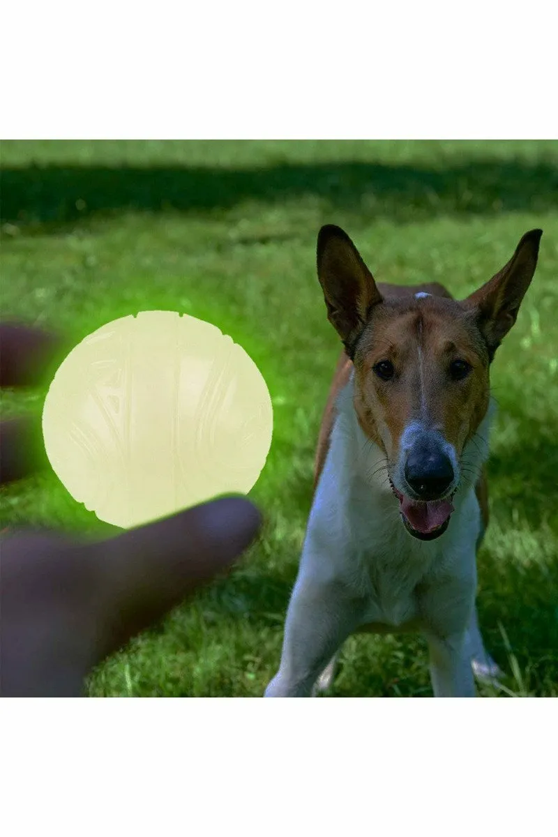 SKIPDAWG Neon Glow Dog Ball
