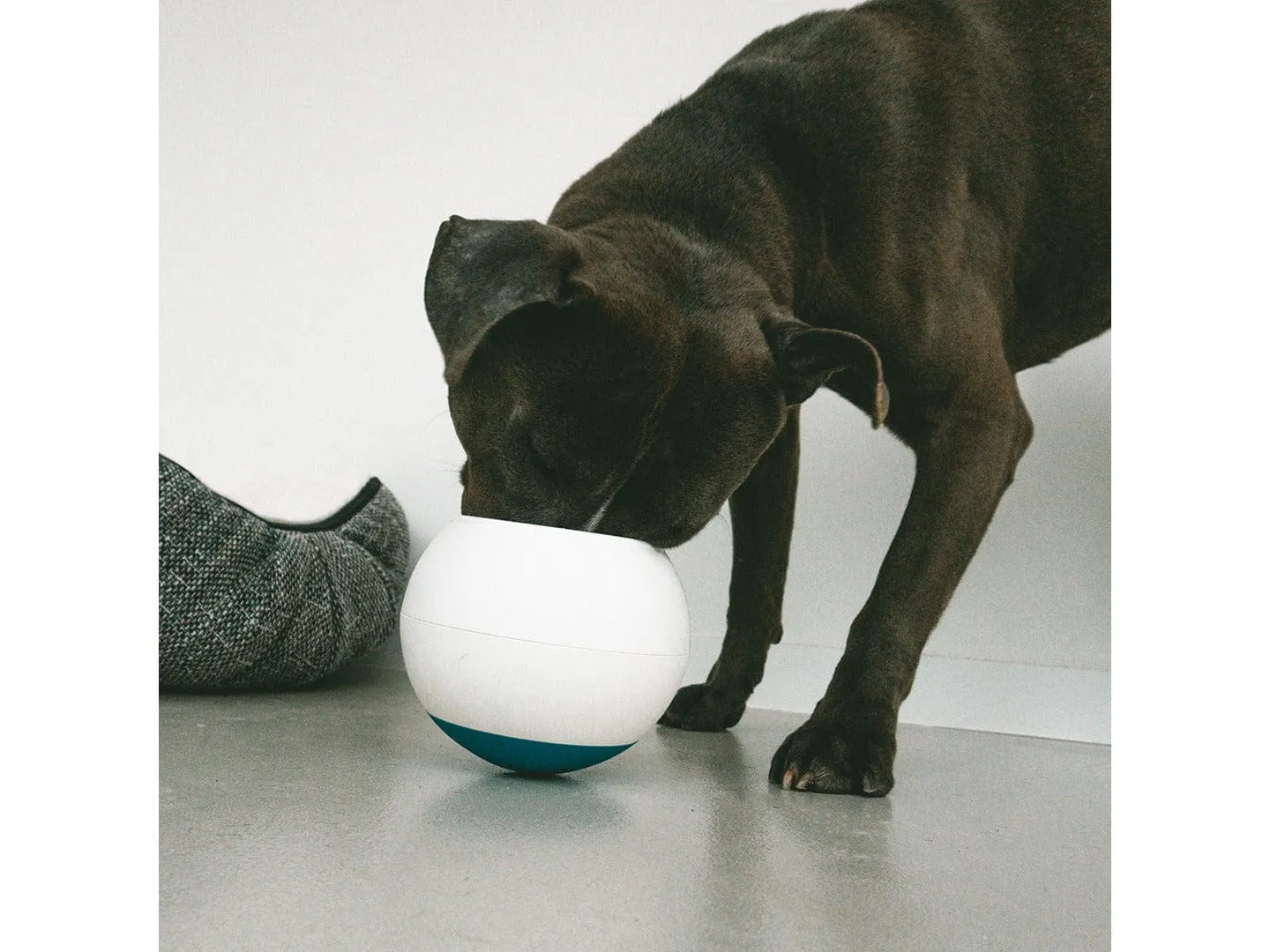 Slow down ball L - 17x16x17cm white/orange