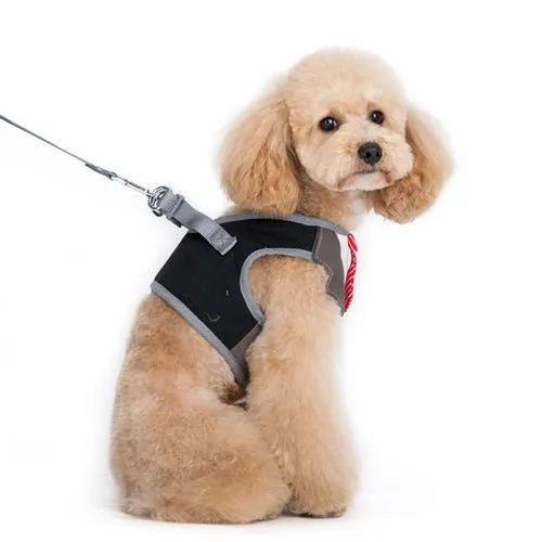 SnapGO Necktie Harness