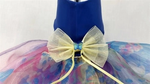 Southern Belle Harness Dress