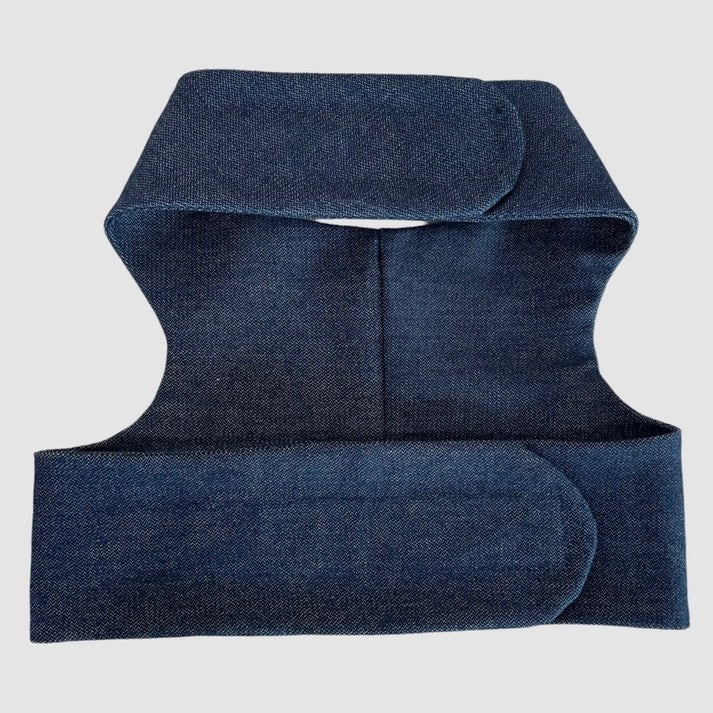 Spring Blue Bow Harness