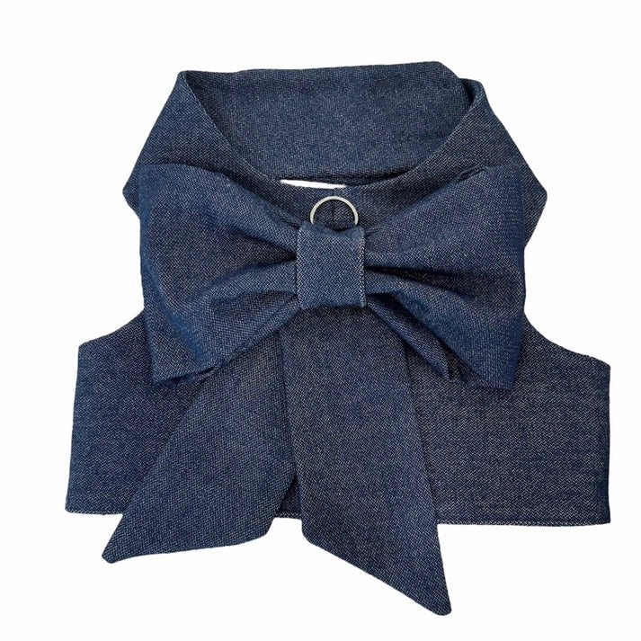 Spring Blue Bow Harness