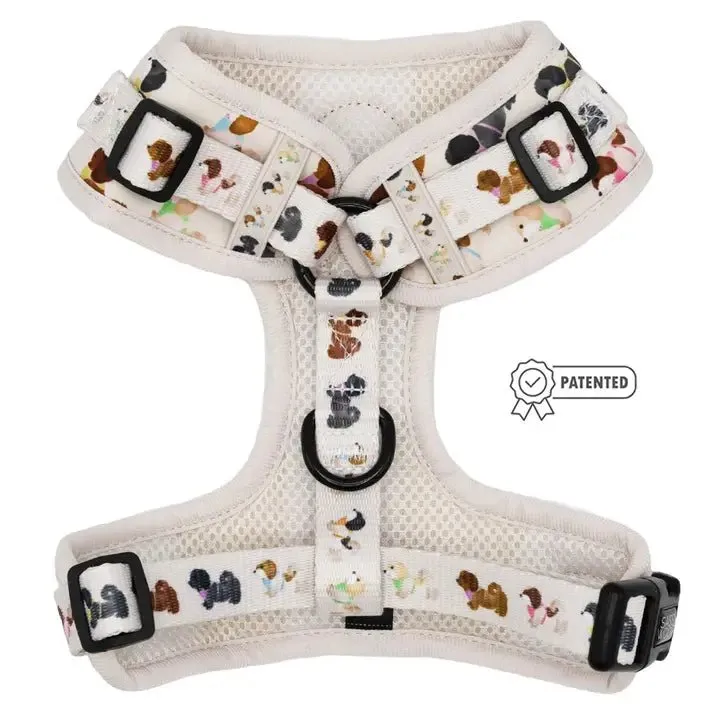 Spunky Shih Tzus Adjustable Harness