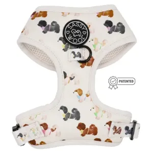 Spunky Shih Tzus Adjustable Harness