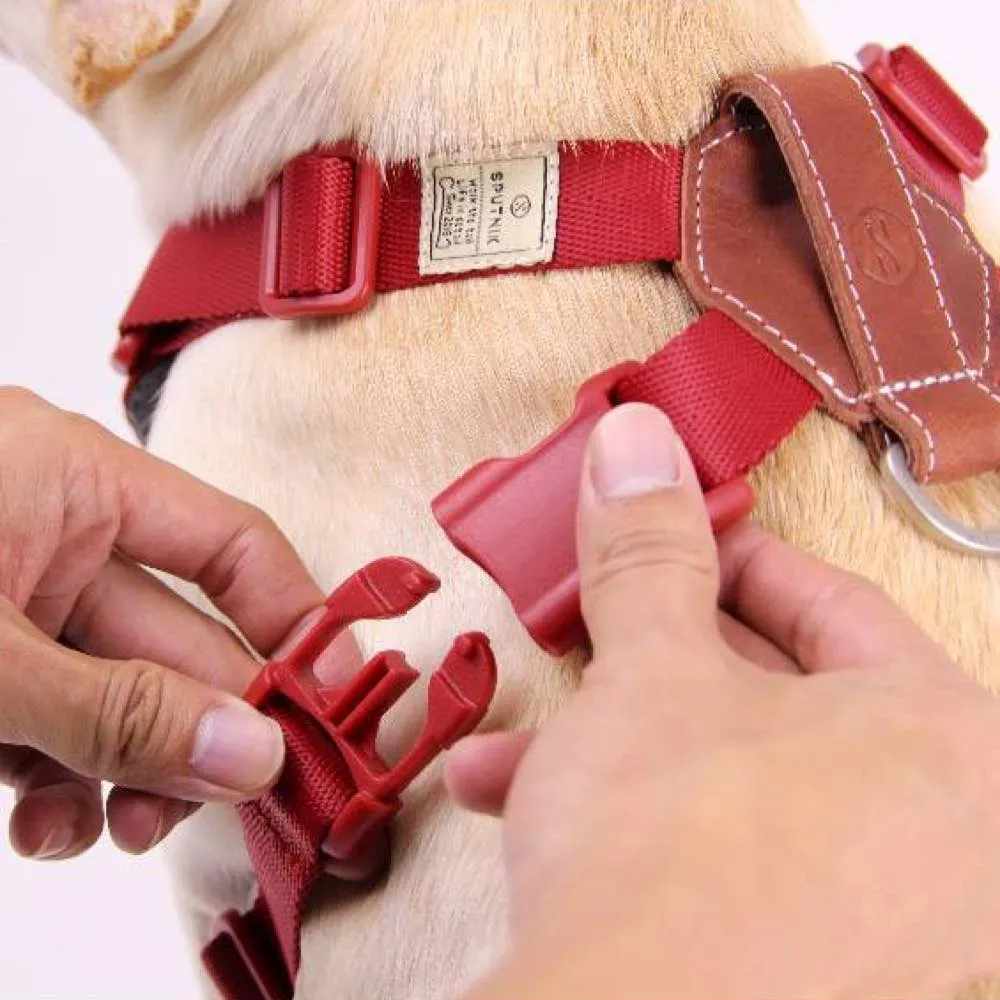 Sputnik Comfort Dog Harness (Blue)