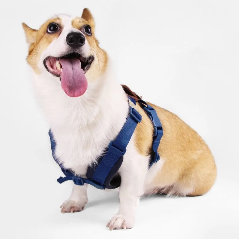 Sputnik Comfort Dog Harness (Blue)