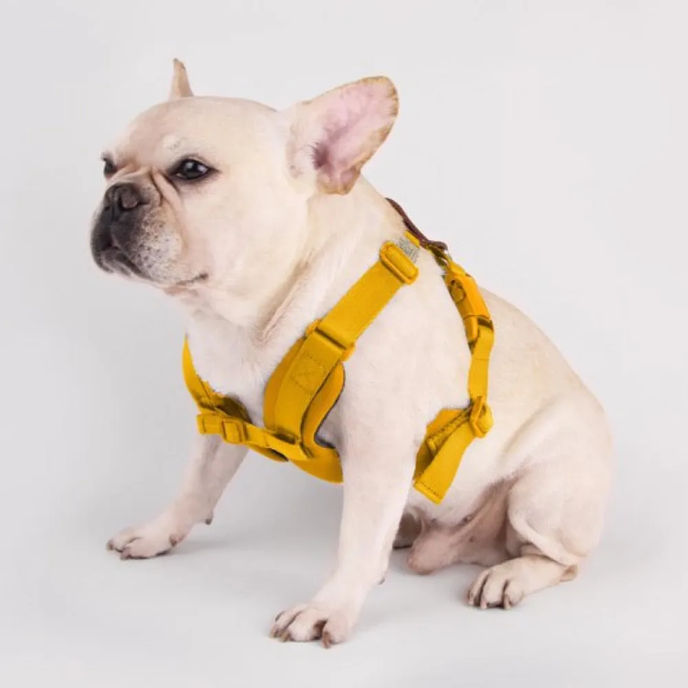 Sputnik Comfort Dog Harness (Yellow)