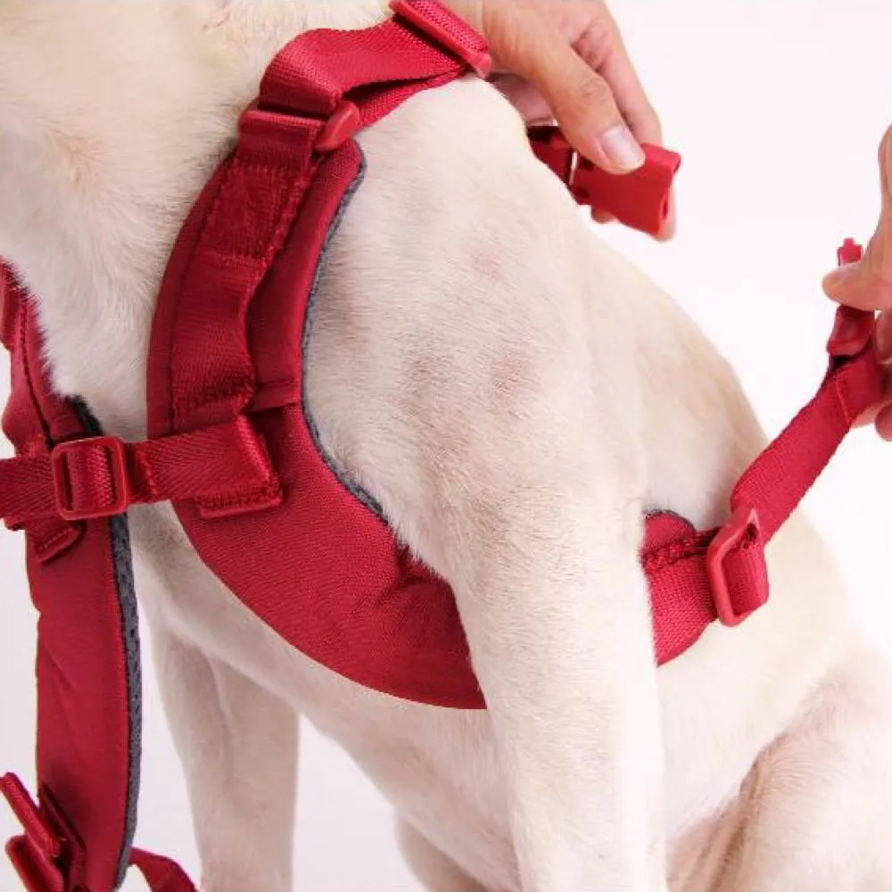Sputnik Comfort Dog Harness (Yellow)