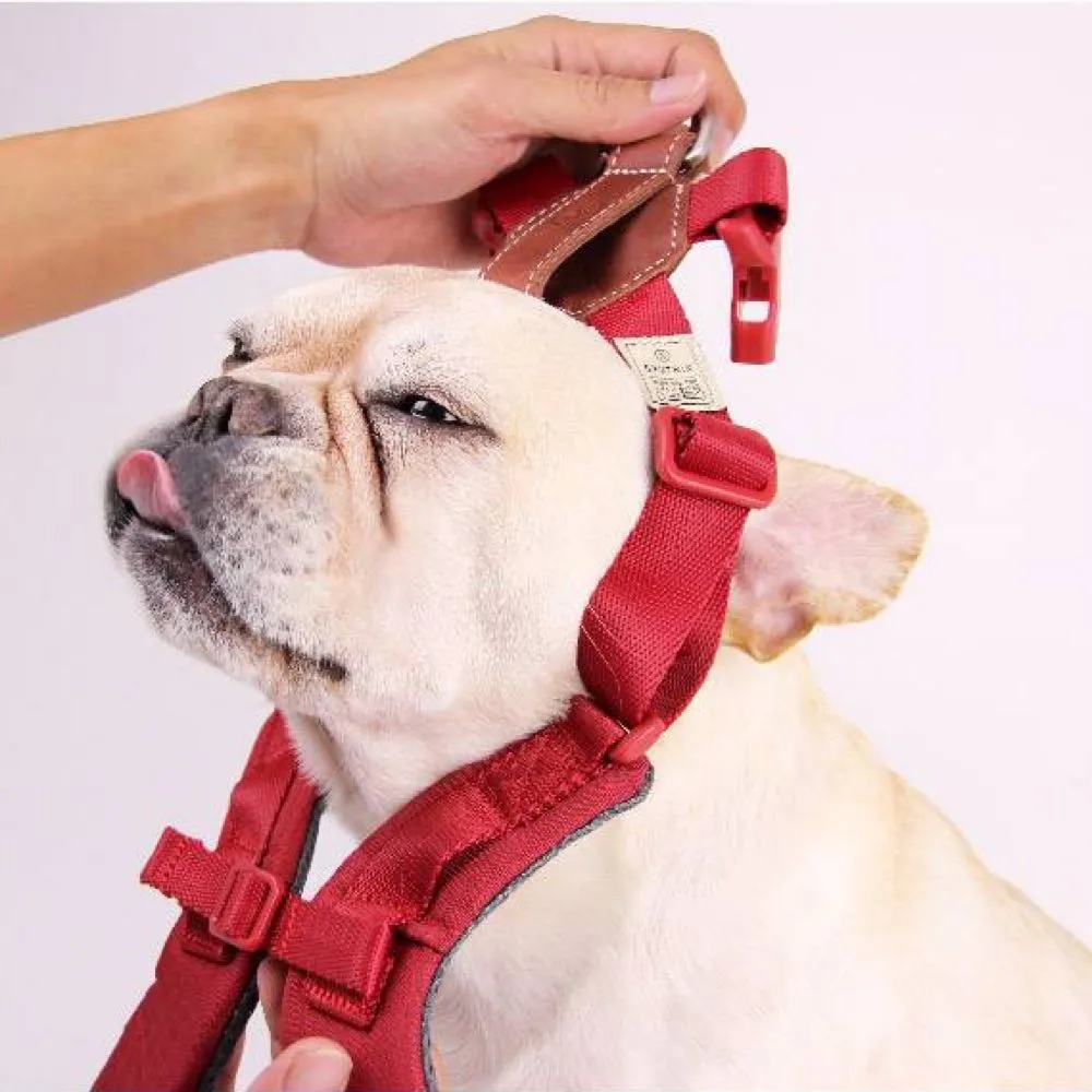 Sputnik Comfort Dog Harness (Yellow)