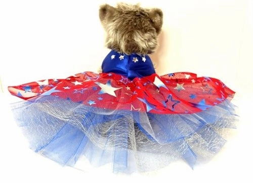 Star Spangled Harness Dress