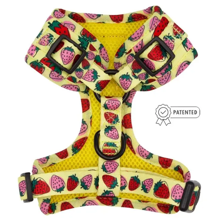 Strawberry Fields Furever Adjustable Harness