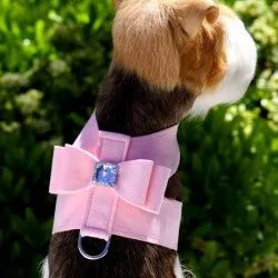 Susan Lanci Big Bow Tinkie Harness in Many Colors