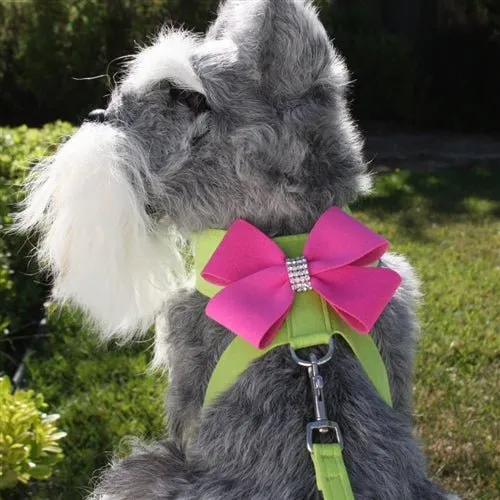 Susan Lanci Contrasting Nouveau Bow Tinkie Harness- Kiwi and Pink Sapphire
