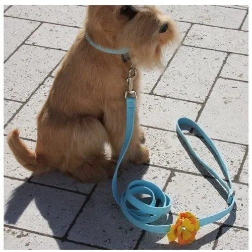Susan Lanci Darla Tinkie Harness