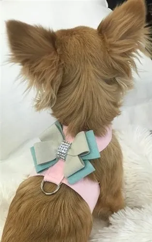Susan Lanci Hope Tinkie Harness