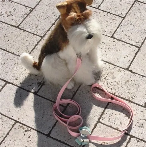 Susan Lanci Hope Tinkie Harness