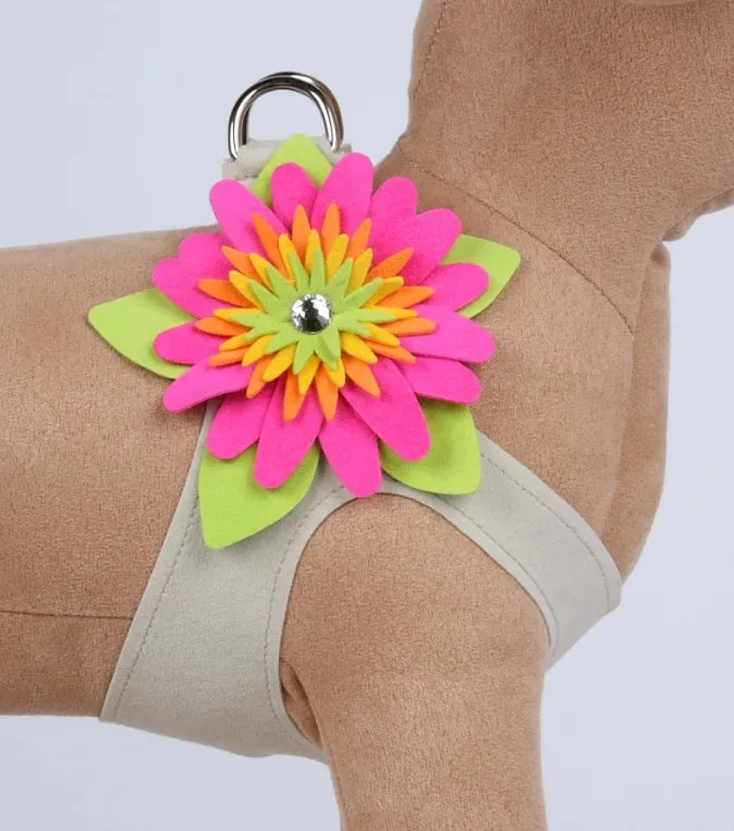 Susan Lanci Island Flower Collection Step In Harness - Many Colors