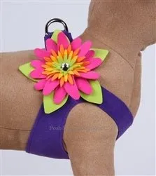 Susan Lanci Island Flower Collection Step In Harness - Many Colors