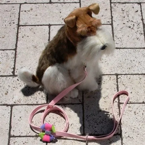 Susan Lanci Madison Bow Tinkie Harness