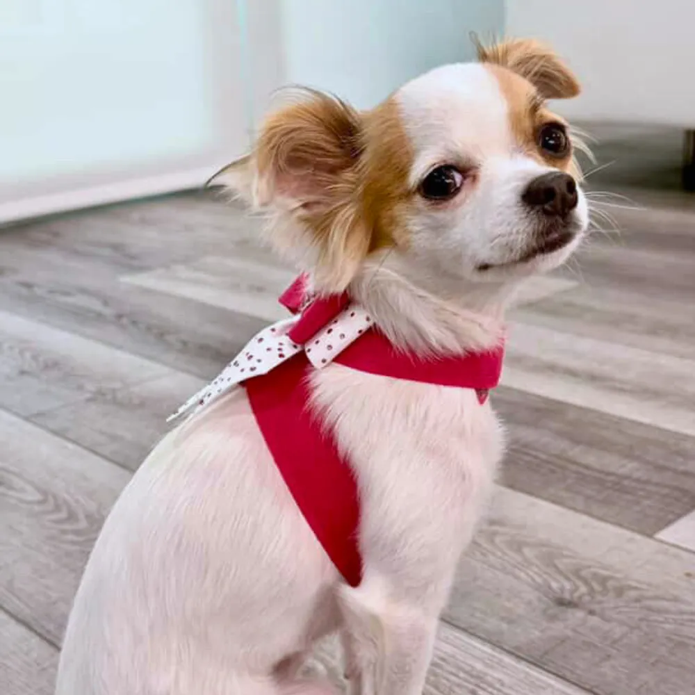 Susan Lanci Pink is Love Double Tail Bow Tinkie Harness