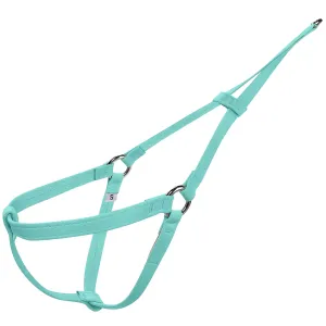 Susan Lanci Plain and Simple Step N Go Harness