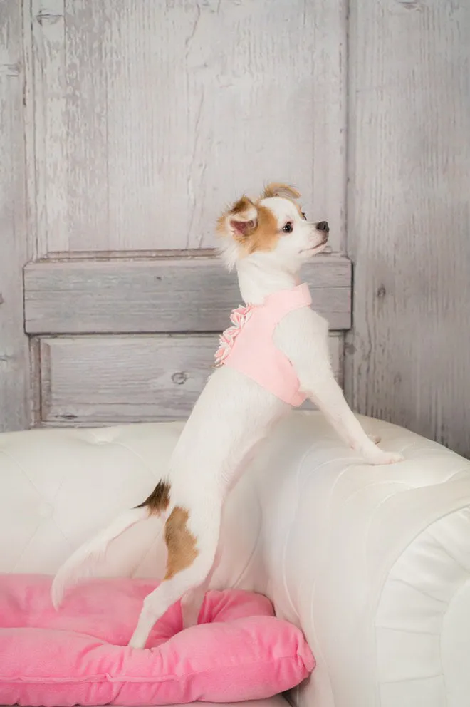 Susan Lanci Special Occasion Bailey Harness in Puppy Pink