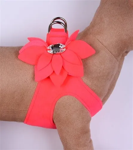 Susan Lanci Water Lily Collection Step-In Harness in Many Colors