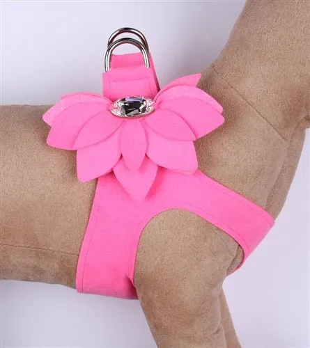 Susan Lanci Water Lily Collection Step-In Harness in Many Colors