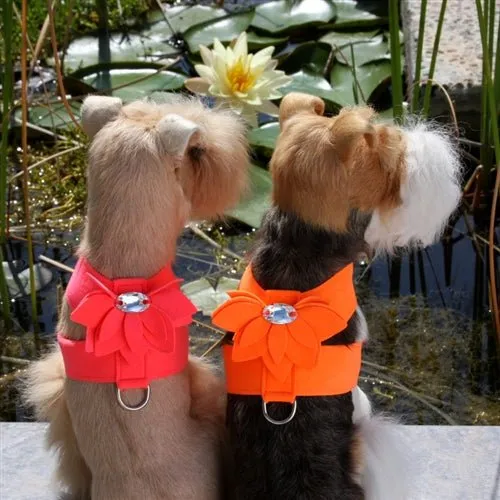Susan Lanci Water Lily Collection Tinkie Harness in Many Colors