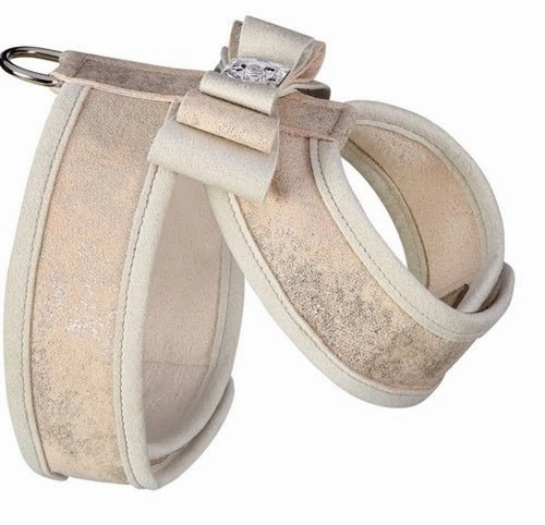 Susan Lanci Champa Glitzerati Really Big Bow Tinkie Harness with Champagne Trim