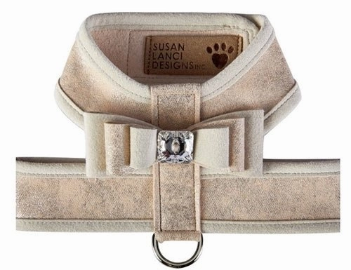 Susan Lanci Champa Glitzerati Really Big Bow Tinkie Harness with Champagne Trim