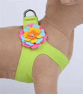 Susan Lanci Fantasy Flower Collection Step-In Harness - Kiwi