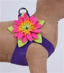 Susan Lanci Island Flower Collection Step In Harness - Many Colors