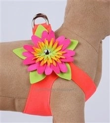 Susan Lanci Island Flower Collection Step In Harness - Many Colors