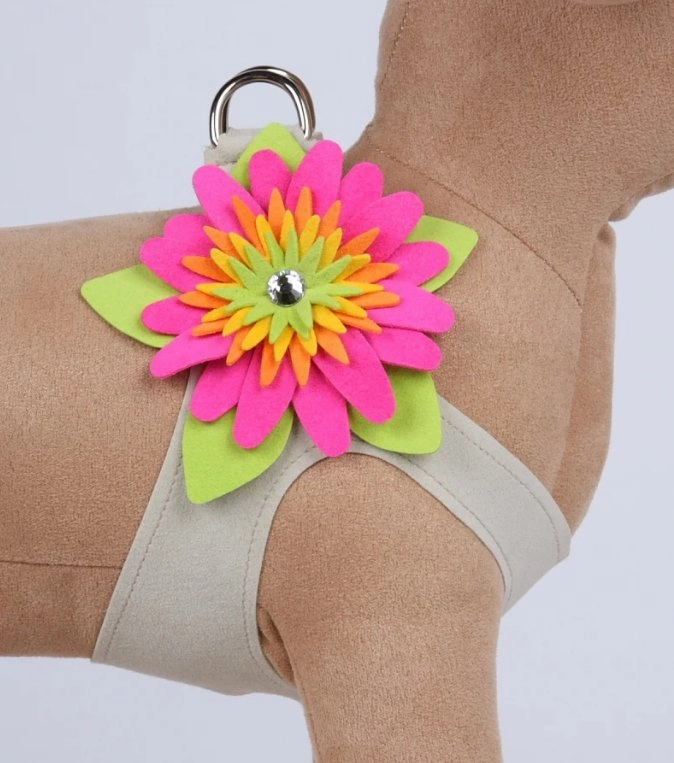 Susan Lanci Island Flower Collection Step In Harness - Many Colors