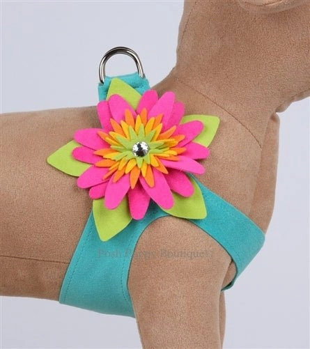 Susan Lanci Island Flower Collection Step In Harness - Many Colors
