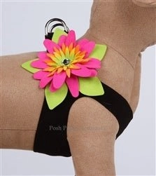 Susan Lanci Island Flower Collection Step In Harness - Many Colors
