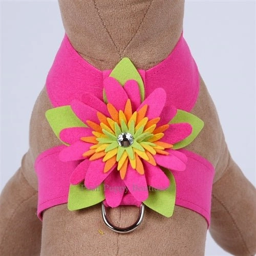 Susan Lanci Island Flower Collection Tinkie Harness-Many Colors