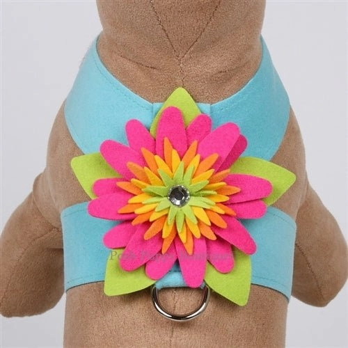 Susan Lanci Island Flower Collection Tinkie Harness-Many Colors