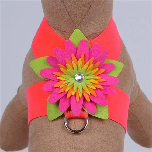 Susan Lanci Island Flower Collection Tinkie Harness-Many Colors