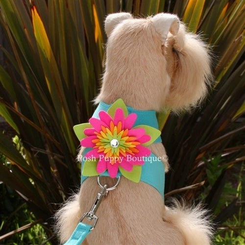 Susan Lanci Island Flower Collection Tinkie Harness-Many Colors