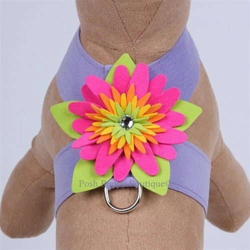 Susan Lanci Island Flower Collection Tinkie Harness-Many Colors