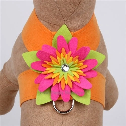 Susan Lanci Island Flower Collection Tinkie Harness-Many Colors