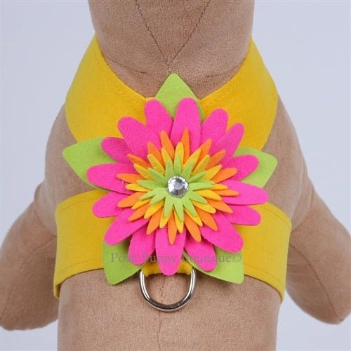 Susan Lanci Island Flower Collection Tinkie Harness-Many Colors