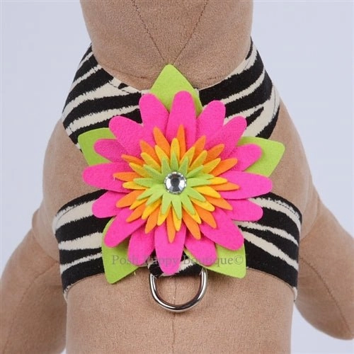 Susan Lanci Island Flower Collection Tinkie Harness-Many Colors