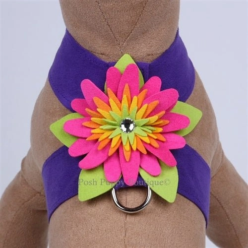 Susan Lanci Island Flower Collection Tinkie Harness-Many Colors