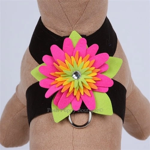 Susan Lanci Island Flower Collection Tinkie Harness-Many Colors