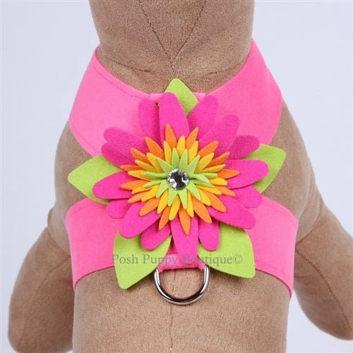 Susan Lanci Island Flower Collection Tinkie Harness-Many Colors