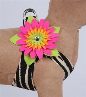 Susan Lanci Island Flower Jungle Print Collection Step In Harness